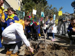 Tra le fronde degli alberi stormisce il mondo