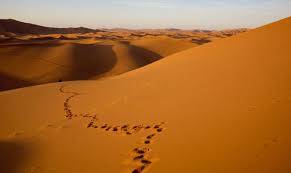 C’è un deserto da attraversare